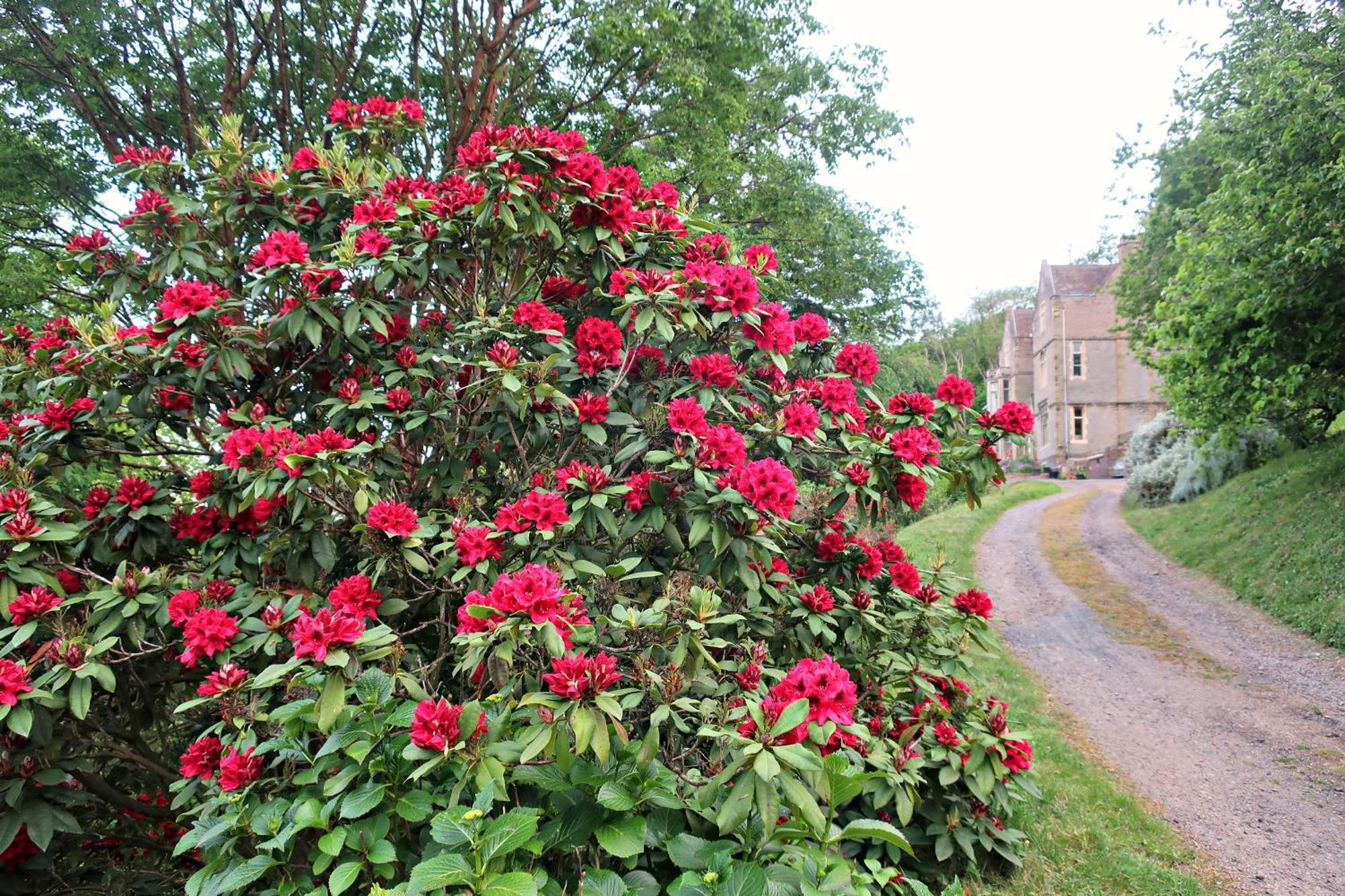 Malvern WellsHaslington Houseアパートメント エクステリア 写真